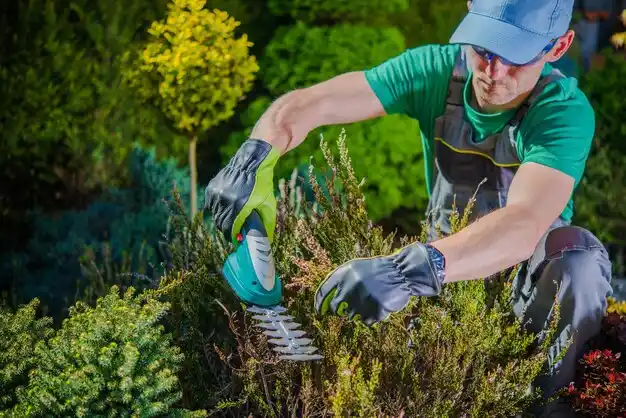 landscaping services Sparta